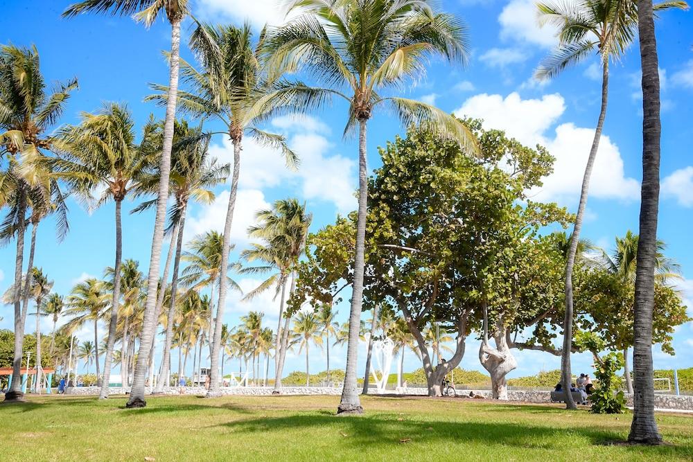 Ithaca Aparthotel Miami Beach Bagian luar foto