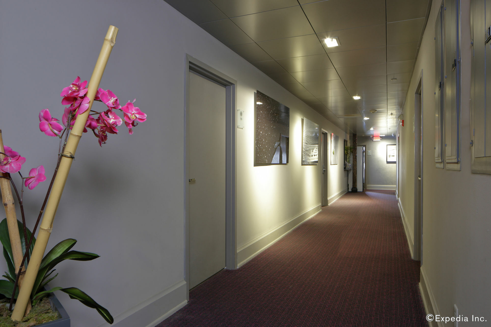 Ithaca Aparthotel Miami Beach Bagian luar foto